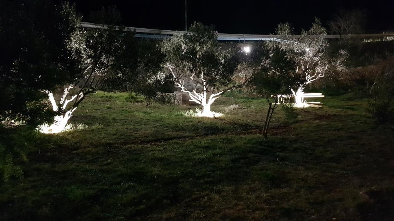 Kuca Za Odmor Jelena Villa Starigrad Paklenica Exterior foto
